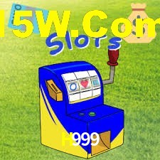 Programa VIP H999