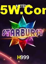 Premium Interface H999